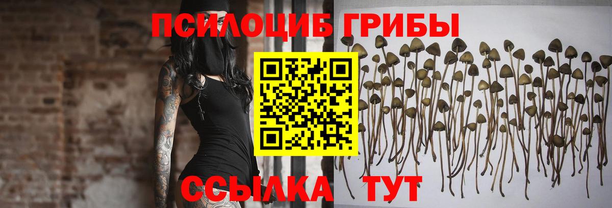 Прокопьевск  Псилоцибиновые грибы прущие грибы  Вход с VPN 