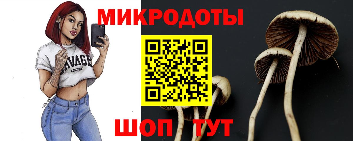 Галлюциногенные грибы Cubensis Прокопьевск